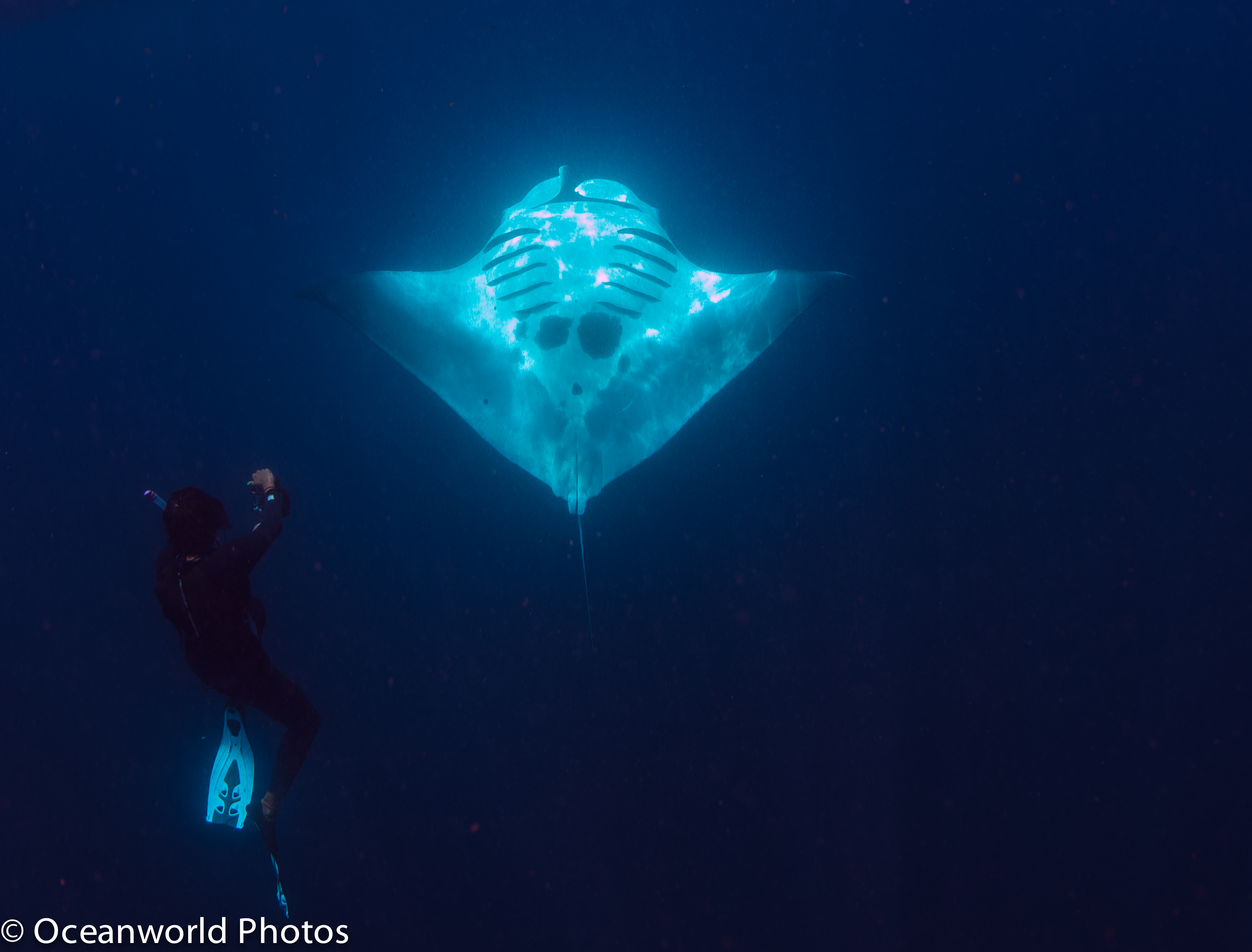 Isla_Mujeres_July_2013/Karla_With_Manta.jpg