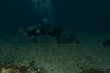 Julian_diving/DSC_0008_558.JPG