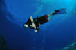 Julian_diving/DSC_0032_556.JPG