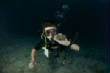 Julian_diving/DSC_0080_561.JPG